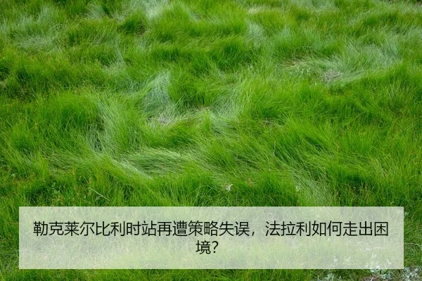 lei-ke-lai-er-bi-li-shi-zhan-zai-zao-ce-lve-shi-wu-fa-la-li-ru-he-zou-chu-kun-jing-2-590.jpg