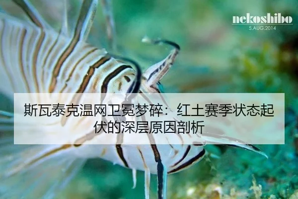 si-wa-tai-ke-wen-wang-wei-mian-meng-sui-hong-tu-sai-ji-zhuang-tai-qi-fu-de-shen-ceng-yuan-yin-pou-xi-2-114.jpg