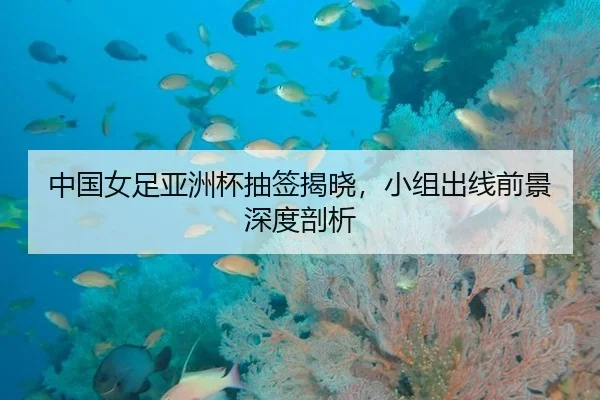中国女足亚洲杯抽签揭晓，小组出线前景深度剖析