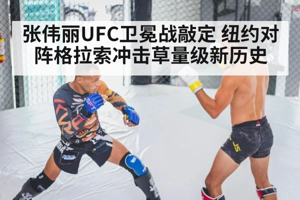 张伟丽UFC卫冕战敲定 纽约对阵格拉索冲击草量级新历史